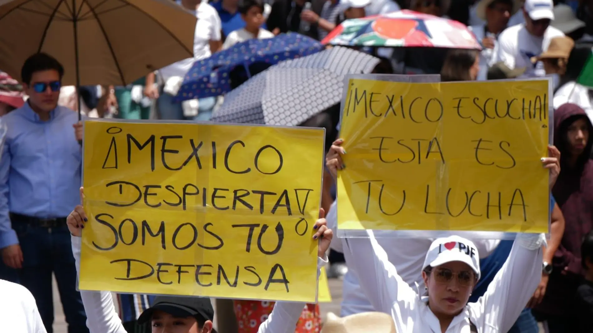 Carteles en manifestación en contra de la reforma del Poder Judicial